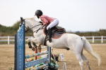SBM_03646