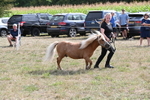 WJ6_6943