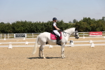 SBM_004210