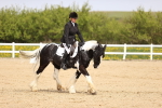 SBM_007513