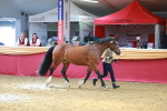 SBM_04183