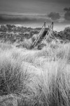 Findhorn steps Mono