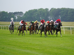 Race 4 16.02pm Every Race Live On Racing TV Handicap portfolio