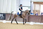 SBM_005834