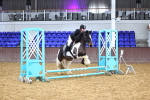 SBM_000348