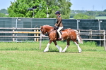 SBM_15293