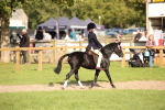 SBM_50143