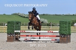 BPP_8115