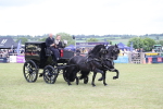 SBM_07078