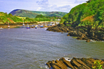 Widmouth Farm Bay210