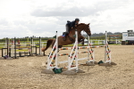 SBM_001519