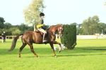 SBM_52268