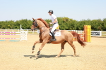 SBM_000690