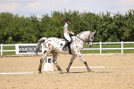 SBM_002053