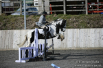 BVRC SJ 170319 84