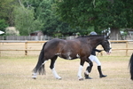 WJ6_7848