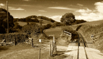 WLLR occupational level crossing near Silfaen Sta