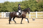 SBM_008553