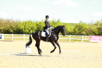 SBM_000234