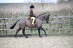 SBM_004690