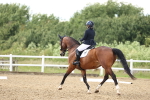 SBM_002649