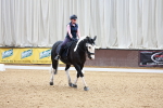 SBM_008441