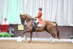 SBM_011403
