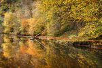 Afon Mellte Autumn