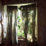 Toftrees Revisited