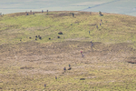 Black Combe-11