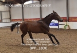 BPP_1830