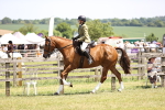 SBM_15080