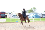 SBM_03339