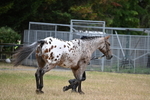 WJ6_8517