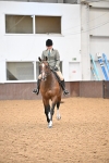 SBM_001910
