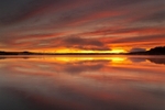 from the Suns Rising 2 of 50
