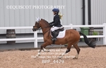 BPP_4429