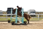 SBM_002803