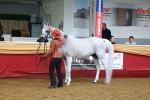 SBM_17192