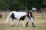 WJ6_4539