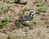 20110422-IMG_4711