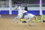 SBM_009798