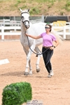 Trot Up 1.30 to 2.30 portfolio