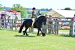 SBM_13998
