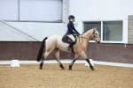 SBM_001559