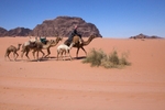 Wadi Rum 51