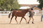 SBM_04912