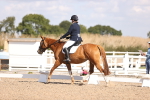 SBM_03554
