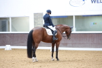 SBM_001176