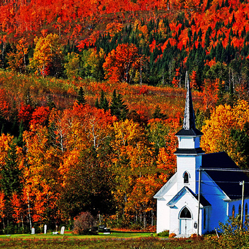A country church in rural New Brunswick stands in stark contrast to the hues of autumn.